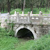 Forêt de Confucius