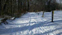2010-12-29_11-04-53_957.jpg