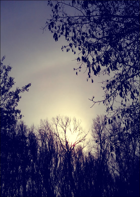 IMAG0104.jpg