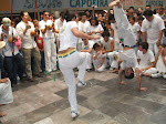 Roda
