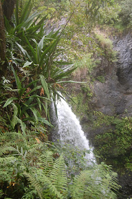DSC_1008.jpg