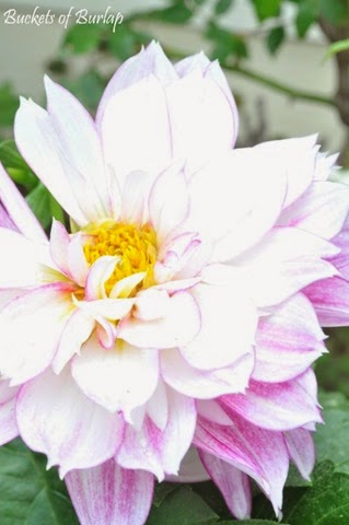 [Spring%2520garden%25204%255B4%255D.jpg]