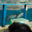 hokkaido_422.jpg