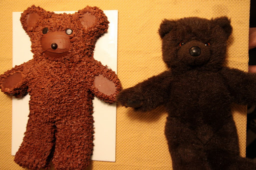 Bear cake next to the real deal