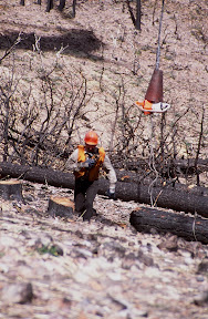 The Dirty Hands People - There aren't any more dangerous jobs in the woods than this one: hooking logs beneath helicopters. Here a logger scrambles to get away from cables he's hooked to logs that are about to be lifted by a helicopter working on a fire salvage job on northern Arizona timberlands owned by the White Mountain Apache tribe. The harvest occurred following the 2002 Rodeo-Chediski Fire, which destroyed almost half of the tribe's highly prized forest.