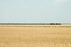 Longtrain is long.