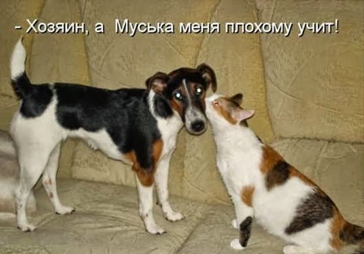 clip_image021