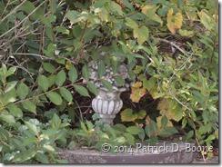 Overgrown Decoration