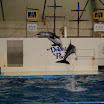 hokkaido_435.jpg
