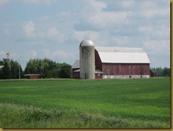 IMG_1618 IMG_1618