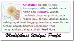 modifikasi widget profil blogger modifikasi widget profil blogger