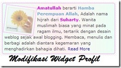 modifikasi widget profil blogger