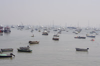 IMGP3241.JPG Photo