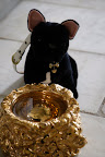 Hey wait!  That's my golden water bowl!