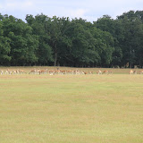 IMG_2781.JPG
