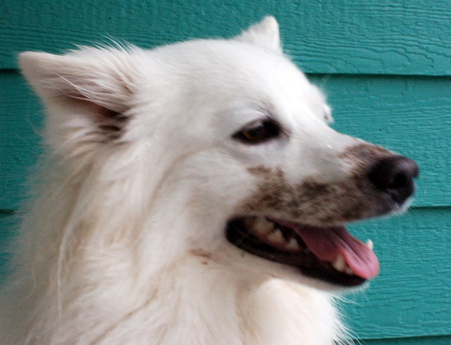 [DSC_5517%255B4%255D.jpg]