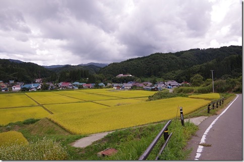 IMGP9967 IMGP9967