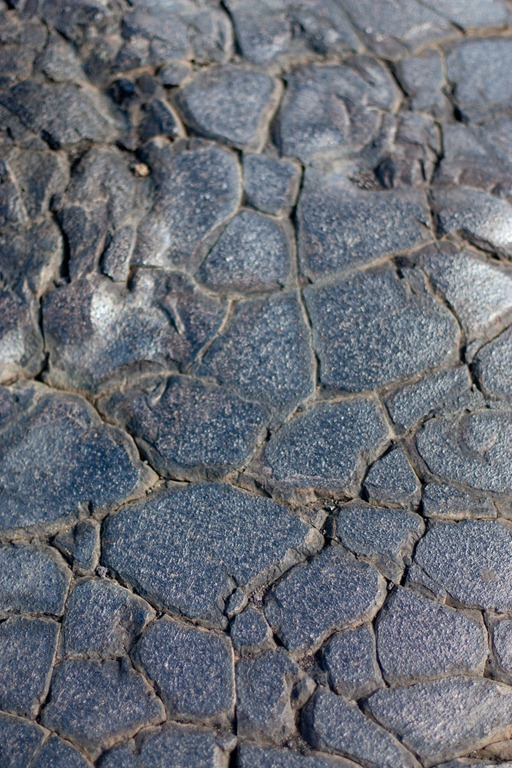 [20121214-IMG_3279%255B3%255D.jpg]