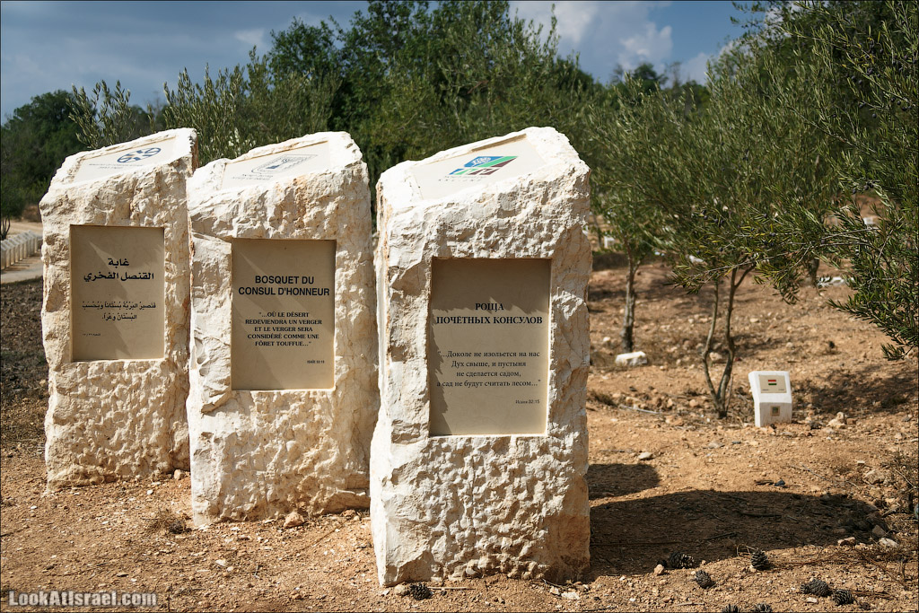Иерусалимская роща почетных консулов