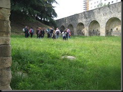 IMG_0819 IMG_0819