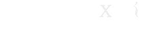NeuroAster.gif