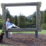 Waitakere & Piha Beach Day Out