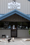 A Quick Visit to the Veterinarian