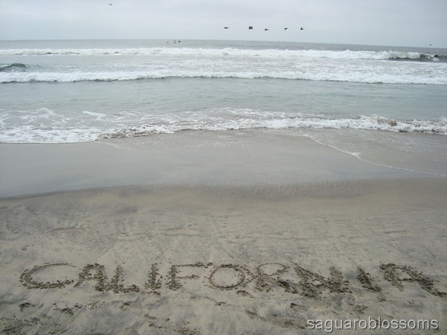 [California20115.jpg]