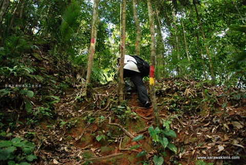 gunung_gading_summit_hike_24_2