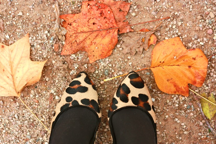 The green coat&hellip; Barbielaura