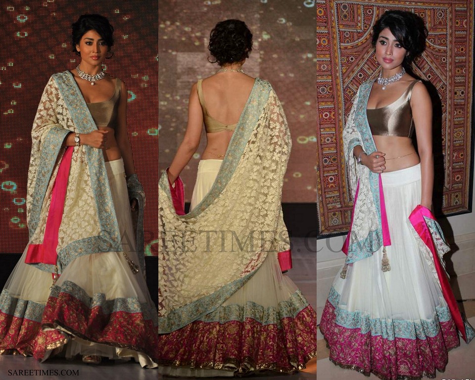 [Shriya_Manish_Malhotra_Saree%255B4%255D.jpg]