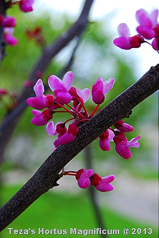 [DSC_0143%255B8%255D.jpg]