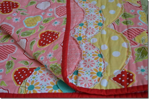 Riley Blake Quilt 016