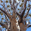 DSCF0570.JPG