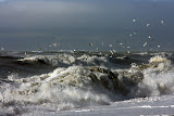 Rough seas at Napier