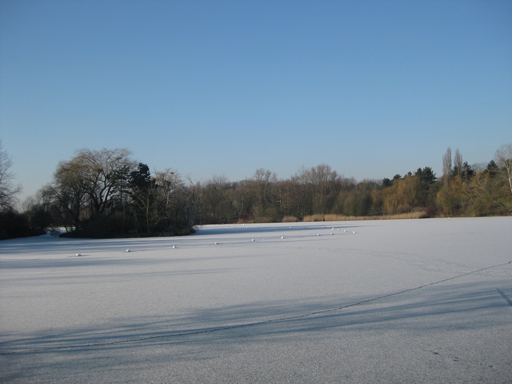 [IMG_5366%255B6%255D.jpg]