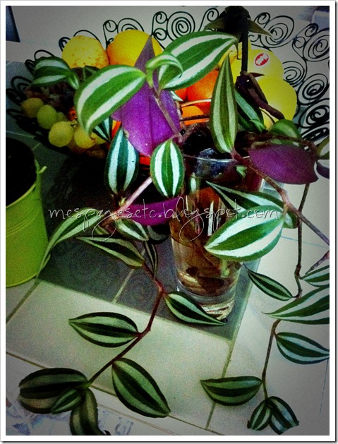 effet lomo 014