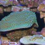 DSC_2133.jpg