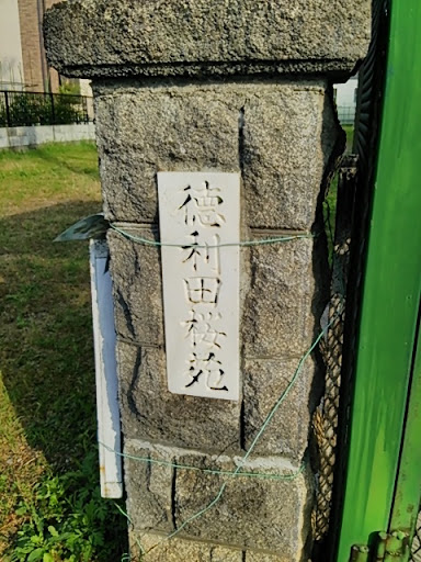 公園 徳利田桜苑
