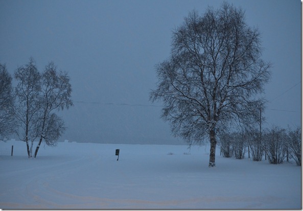 DSC_3146 DSC_3146