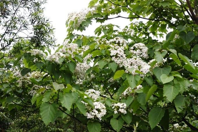 2014_0420_091010 2014_0420_091010