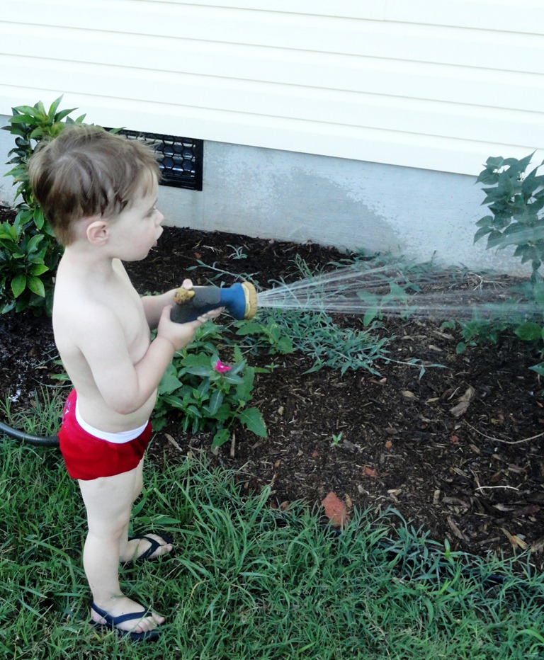 [DSC00965-1%2528rev%25201%2529%255B4%255D.jpg]