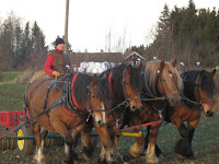 main0289.jpg