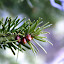IMG_6714.JPG