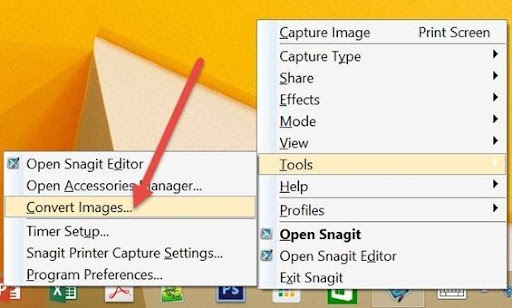 how to use snagit 11 editor