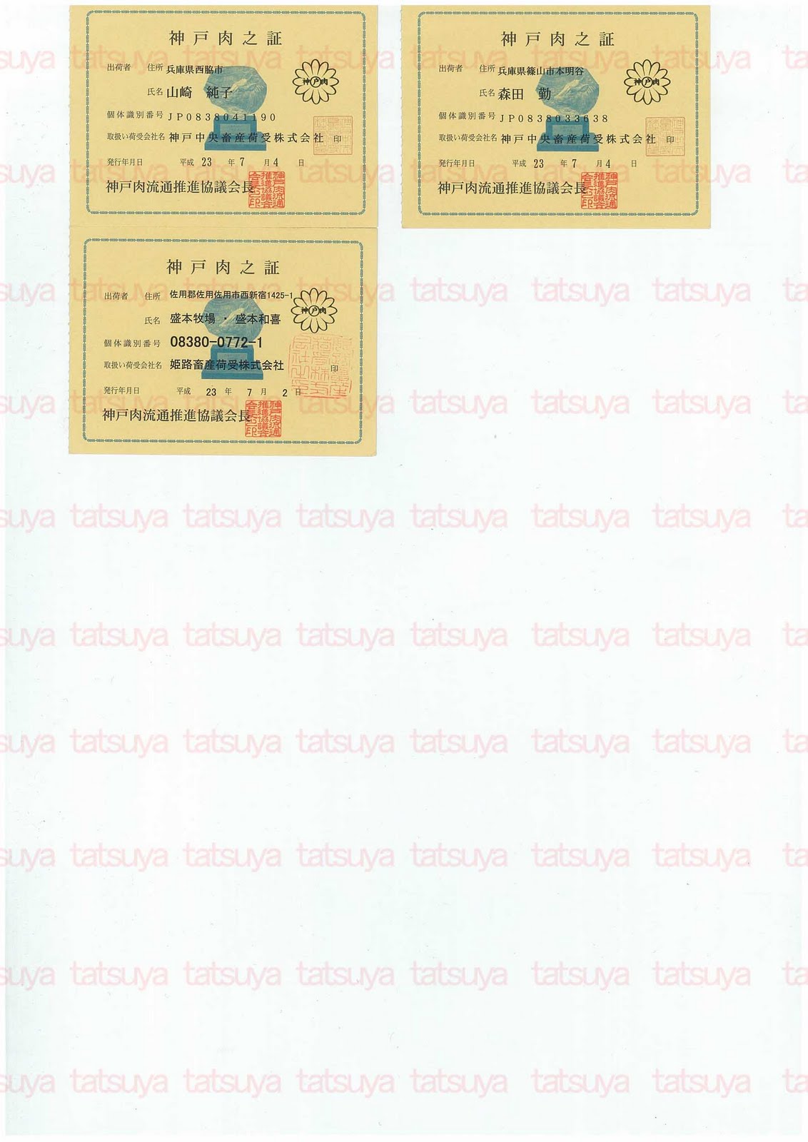 [LOT-11080501-%25232.jpg]