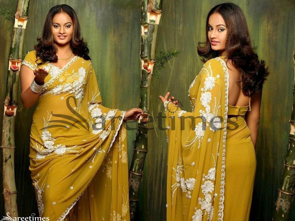 [Suja_Embellished_Saree%255B4%255D.jpg]