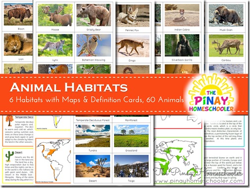 Animal Habitats