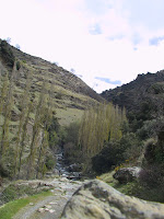 IMG_5281.JPG Photo