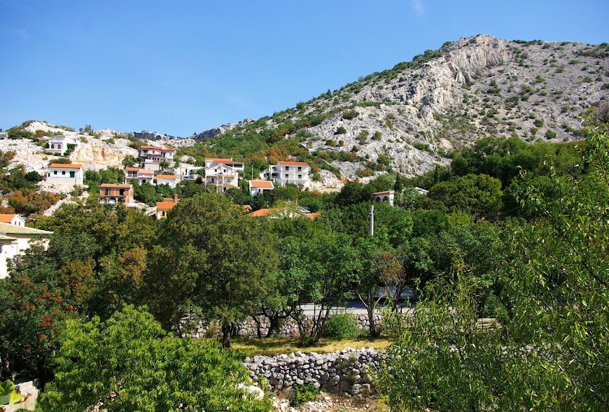 IMGP8676.JPG